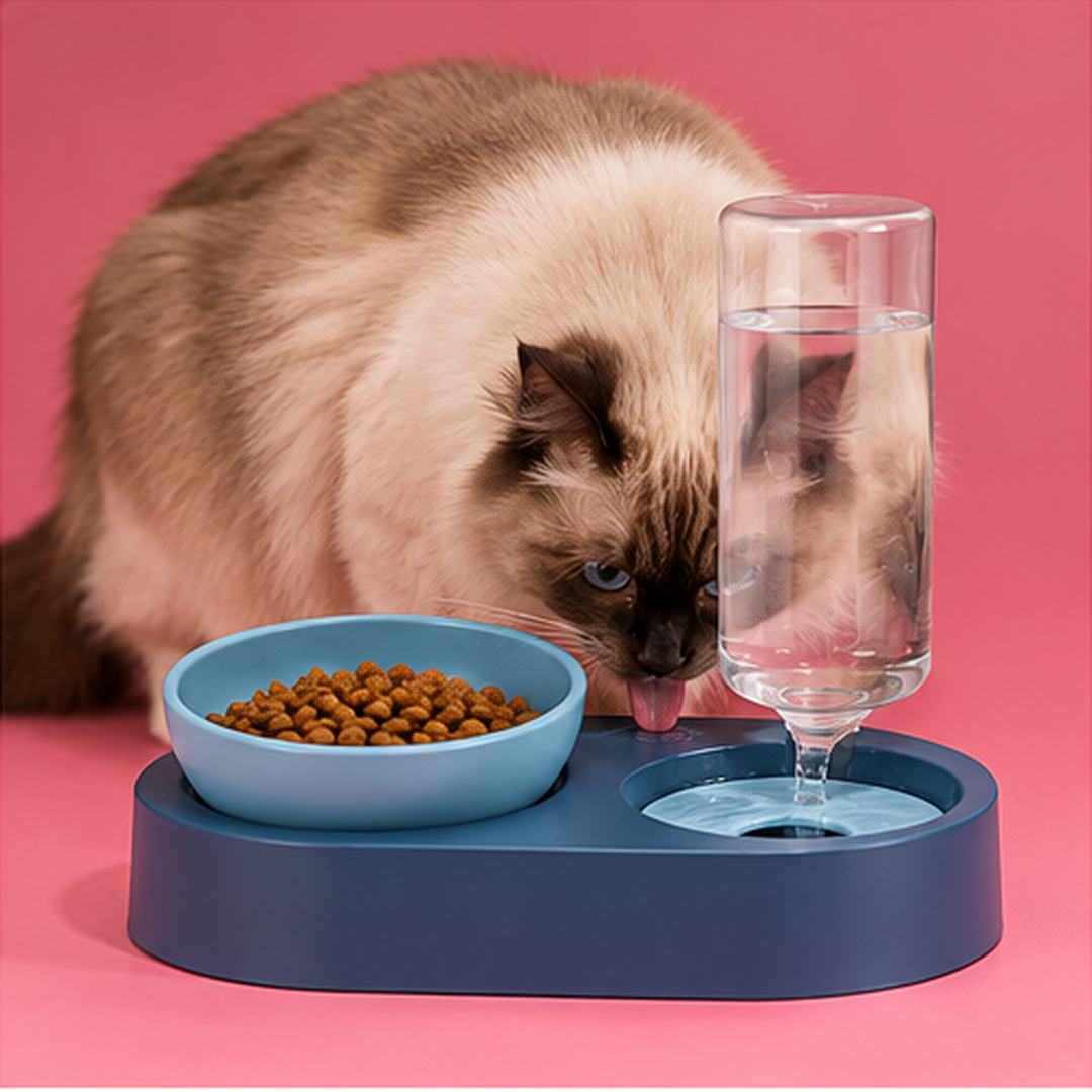 Double gamelle pour chat et chien avec réservoir